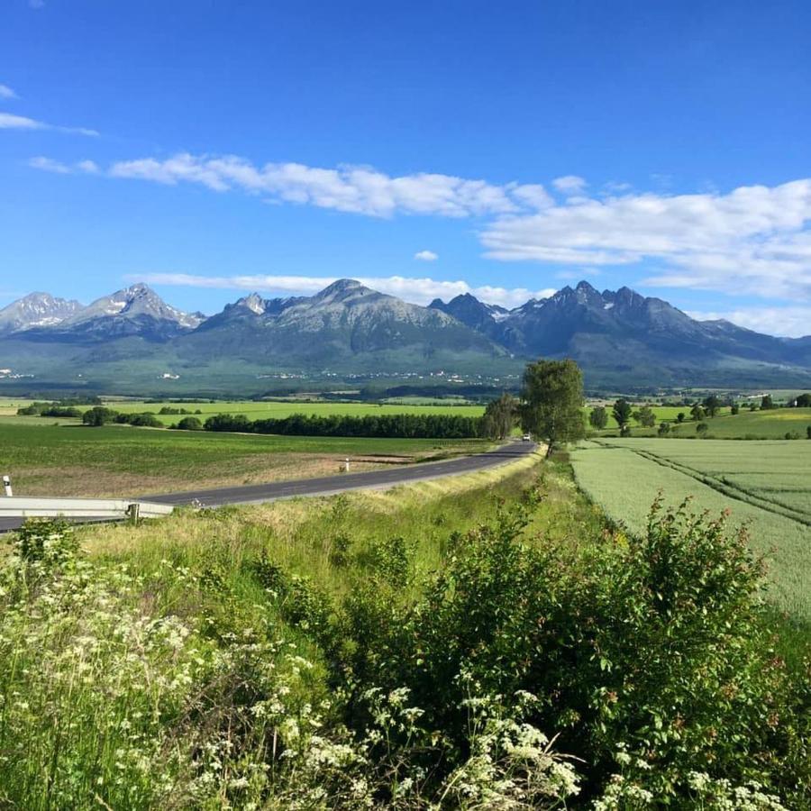 Veľký SlavkovApartman Annaアパートメント エクステリア 写真